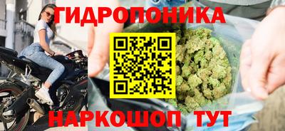 круглые Лесосибирск