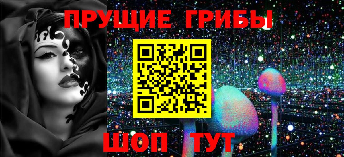 Псилоцибиновые грибы прущие грибы Камышлов