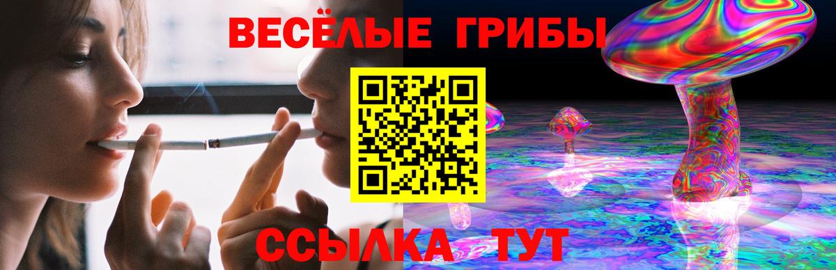 Псилоцибиновые грибы Psilocybine cubensis  сколько стоит  Камышлов  Вход с VPN 